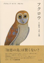 フクロウ