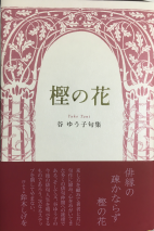 樫の花